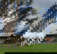 Woodenbong B and B - Accommodation Bookings