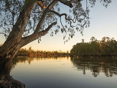 Woperana Campground - Accommodation Bookings 0