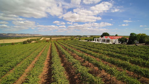 1837 Barossa Luxury Vineyard Cottages - Accommodation Bookings 0