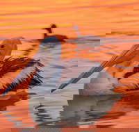 4 Pelican Court - River Shack Rentals - Accommodation Bookings