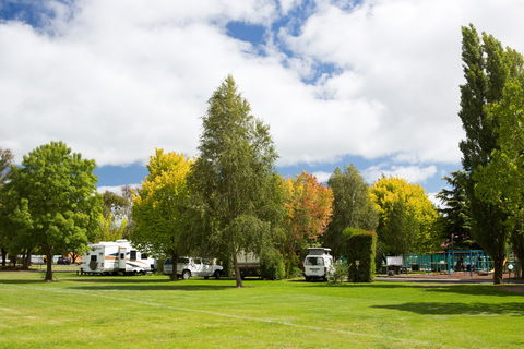 Armidale Tourist Park - Accommodation Bookings 0