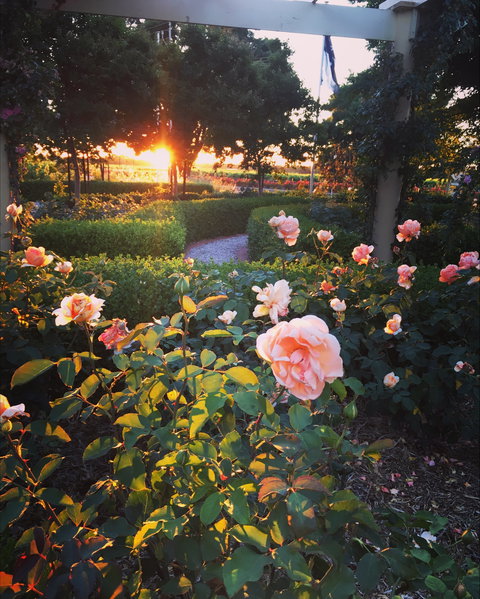 BAROSSA  HOUSE - Accommodation Bookings 1