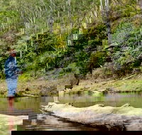 Bass Lodge - Accommodation Bookings