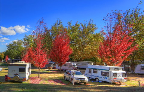 Beechworth Lake Sambell Caravan Park - Accommodation Bookings 0