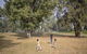 Cattai Campground - thumb 2
