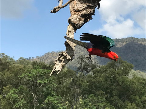 Cave Rock Cottages - Accommodation Bookings 2