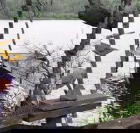 Clyde River Cottage - Accommodation Bookings