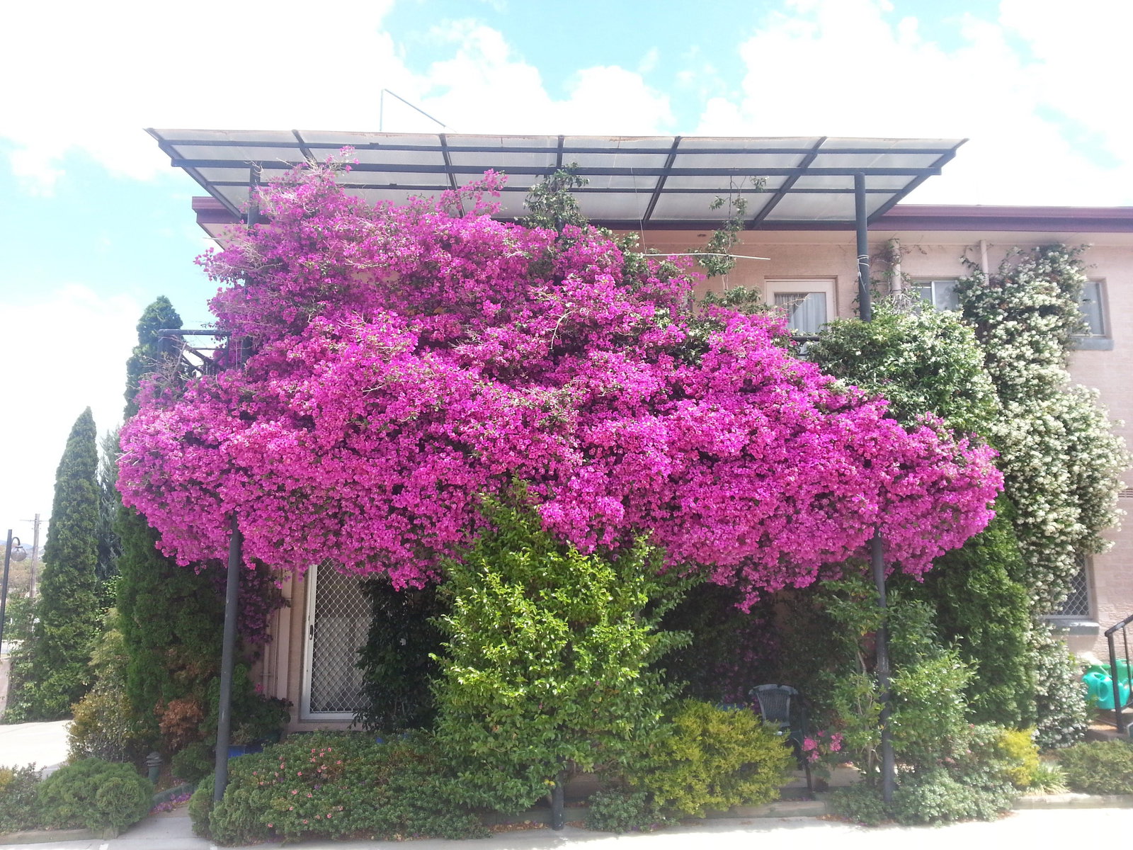 Accommodation Bookings