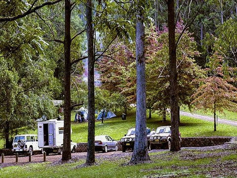 Dingo Tops Campground - Accommodation Bookings 2