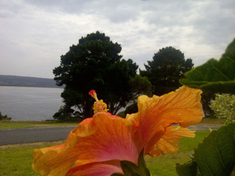 Eden Oceanview - Accommodation Bookings 1