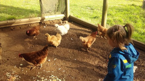 Emerald Park Holiday Farm - Accommodation Bookings 2