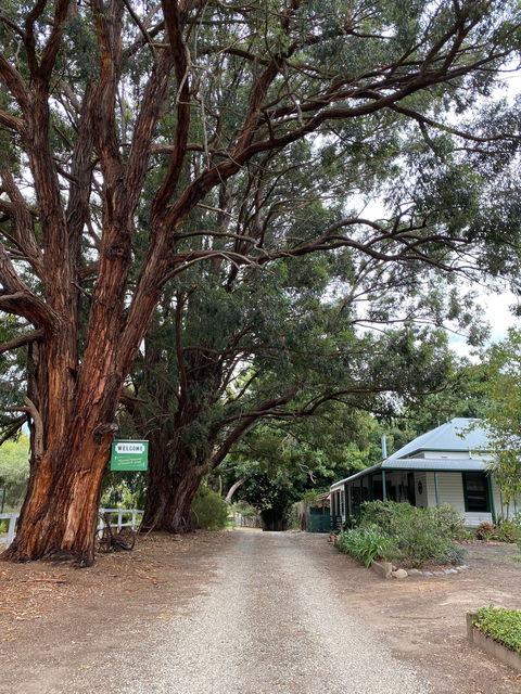 Fernleigh Accommodation - Accommodation Bookings 0