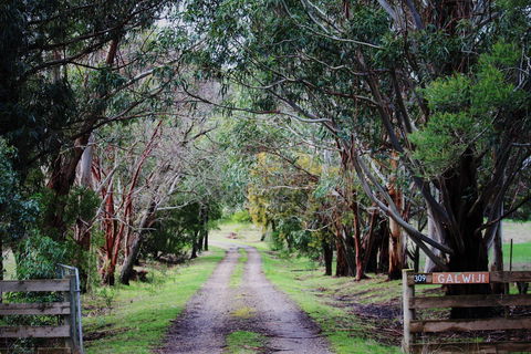 Galwiji Homestead - Accommodation Bookings 1