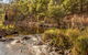 Jacobs River Campground - thumb 2