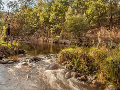 Jacobs River Campground - Accommodation Bookings 2