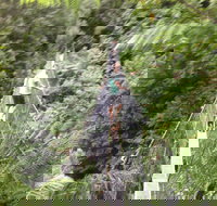 Rosebery Cabin and Tourist Park