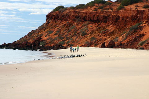 South Gregories Camp At Francois Peron National Park - Accommodation Bookings 0