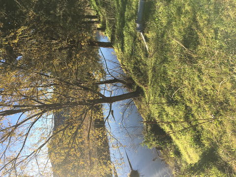 The Old Dairy At Baerami - Accommodation Bookings 1