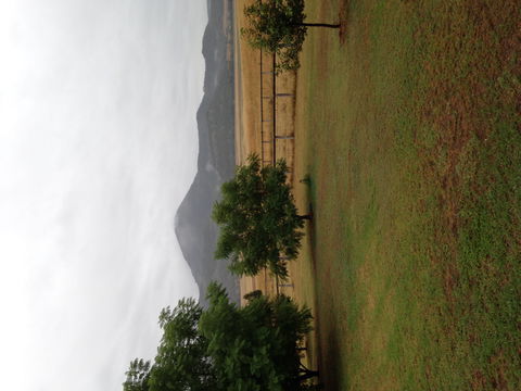 The Old Dairy At Baerami - Accommodation Bookings 2