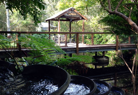 The Oasis And Wellness Centre  At One Mile Beach - Accommodation Bookings 0