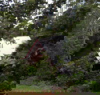 Turkeys Nest Rainforest Cottages Mt Glorious - Accommodation Bookings