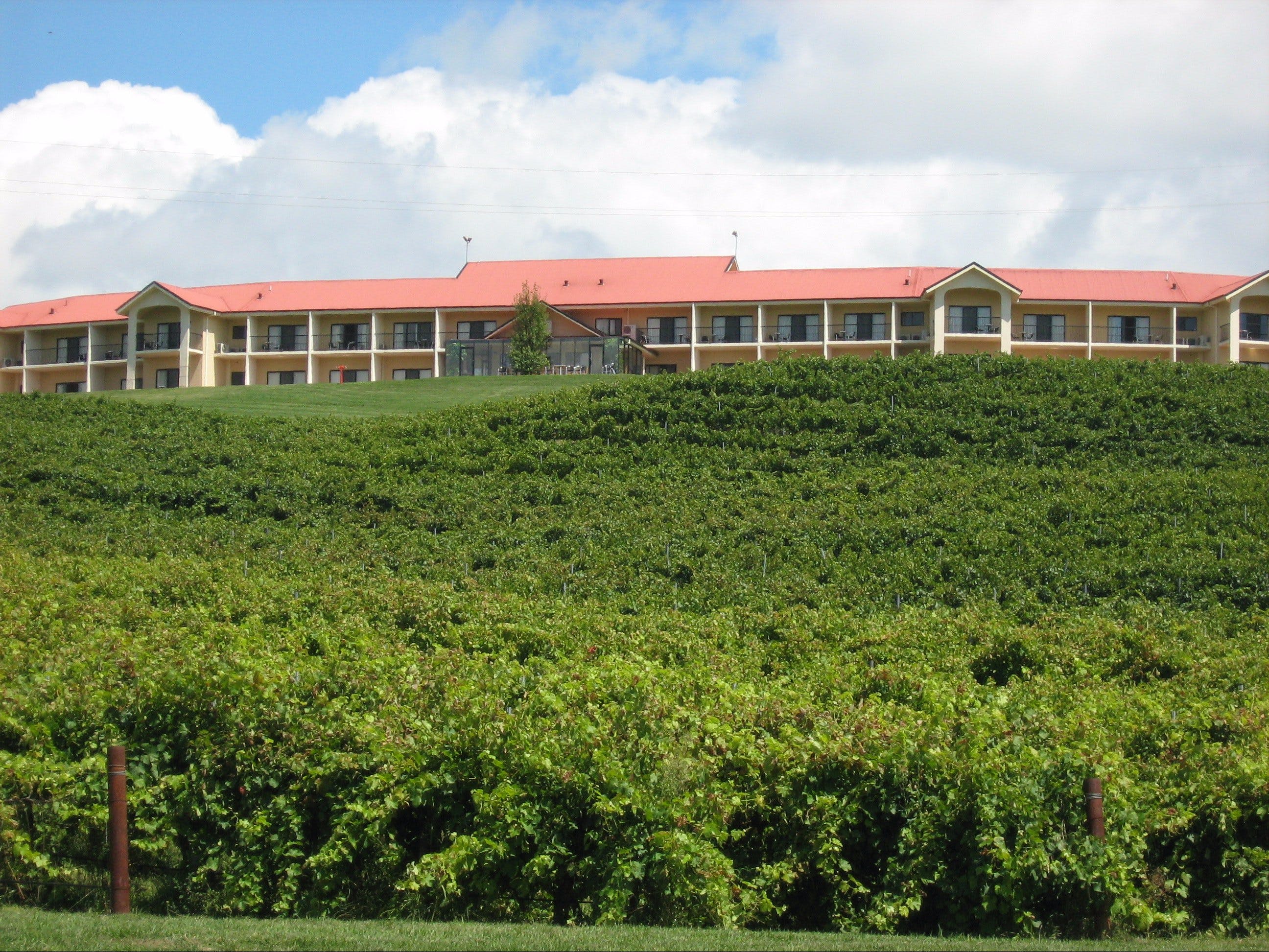 Turners Vineyard Motel - thumb 0