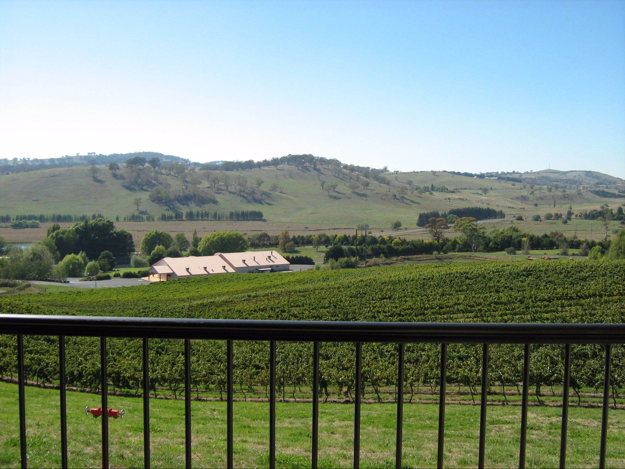 Turners Vineyard Motel - thumb 2