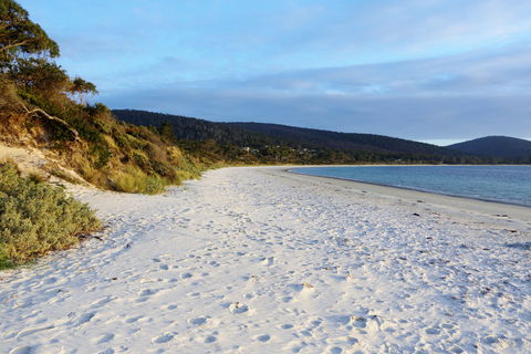 White Beach Tourist Park - Accommodation Bookings 0