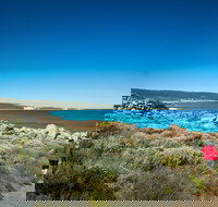 Wyadup Brook Cottages - Accommodation Bookings