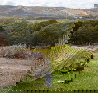 131 - Heart of the Vale - Accommodation Bookings