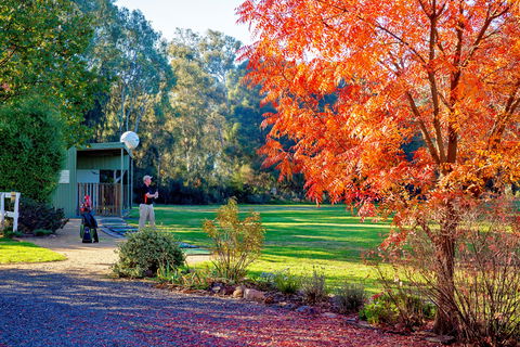 Airtree Golfers Resort - Accommodation Bookings 0