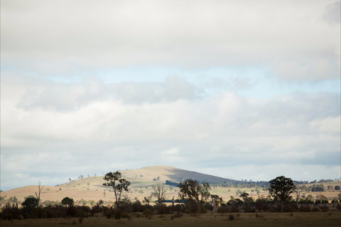 Aurelias Farm Bed And Breakfast - Accommodation Bookings 1