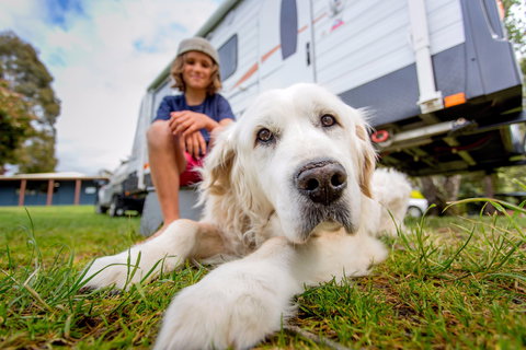 BIG4 St Helens Holiday Park - Accommodation Bookings 2