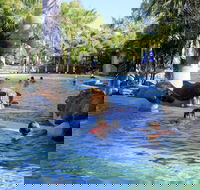 Big4 Aussie Outback Oasis Holiday Park - Accommodation Bookings