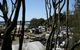 Congo Campground - thumb 1