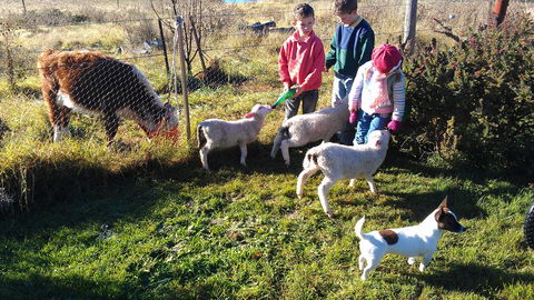 Dairy Park Farm Stay Bed And Breakfast - Accommodation Bookings 2