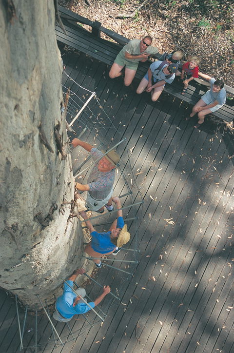 Drafty's Camp At Warren National Park - Accommodation Bookings 1