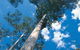Drafty's Camp At Warren National Park - thumb 2