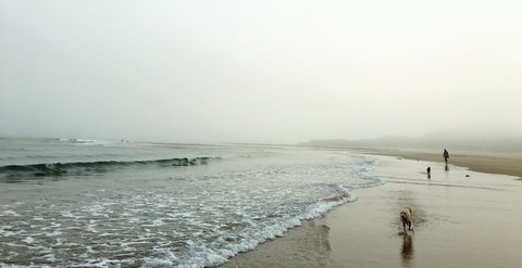 Drift Beach Shack - Accommodation Bookings 0