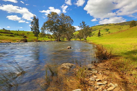 Elm Cottage Tumut - Accommodation Bookings 0