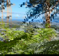 Escarpment - Accommodation Bookings