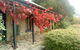 Ethel's Cottage - thumb 0