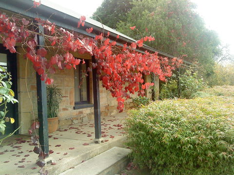 Ethel's Cottage - Accommodation Bookings 0