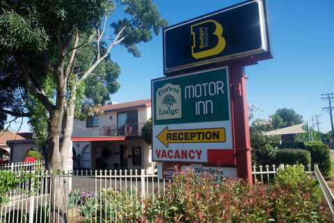 Forest Lodge Motor Inn And Restaurant - Accommodation Bookings 0