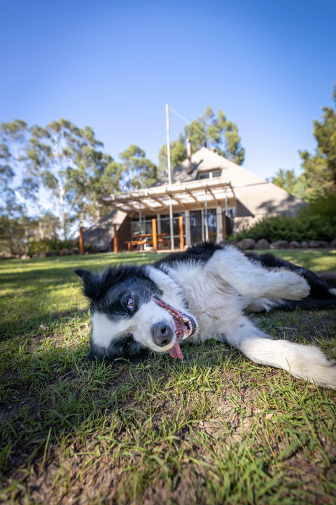 Grampians Getaway - Accommodation Bookings 0