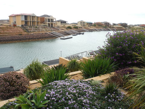 Happy Gilmore - Accommodation Bookings 0