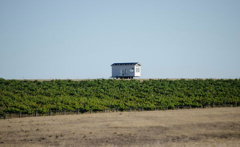 Hounds Run Vineyard - Accommodation Bookings 0