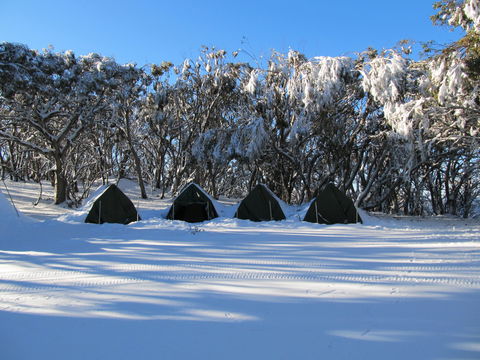 Mt Stirling Alpine Winter Camp - Accommodation Bookings 1