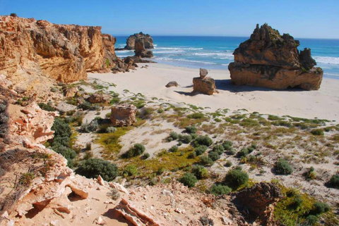 Nal-a-wort Campground - Canunda National Park - Accommodation Bookings 1