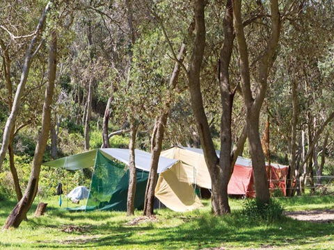 Pebbly Beach Campground - Yuraygir National Park - Accommodation Bookings 1